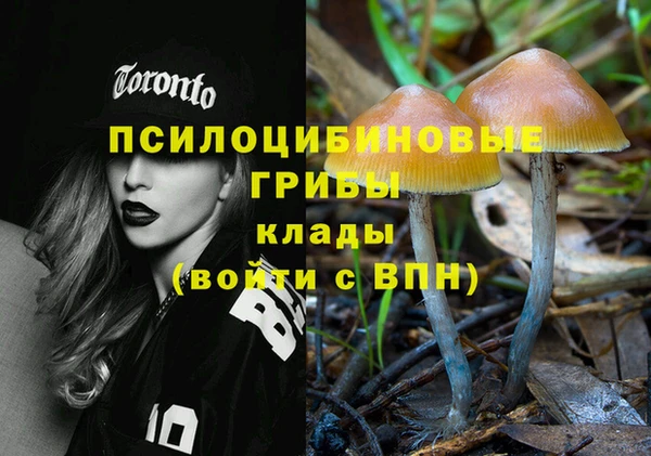 а пвп мука Армянск