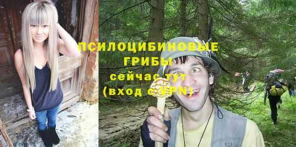 а пвп мука Армянск
