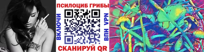 сайты даркнета официальный сайт купить наркотик Чапаевск Галлюциногенные грибы Psilocybine cubensis